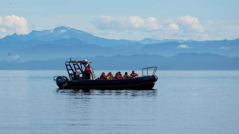 Port Hardy: Sea Otter and Whale Watching - Starting Point and What to Expect