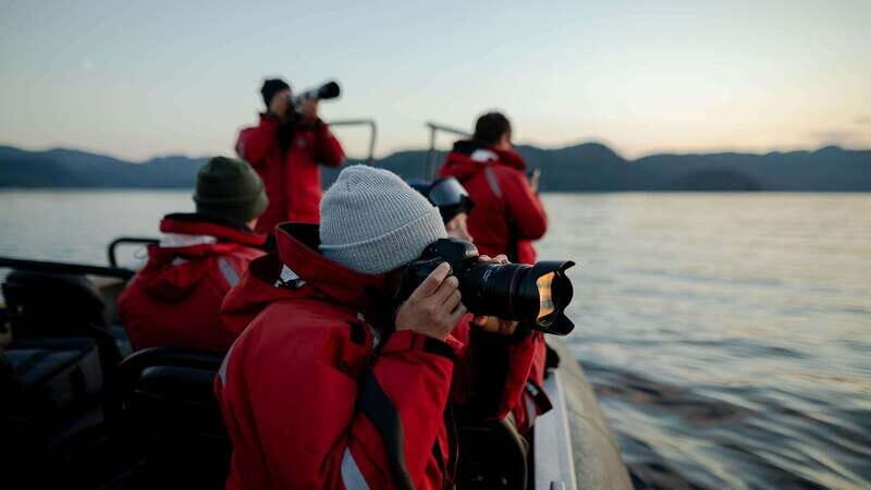 Port Hardy: Sea Otter and Whale Watching - Detailed Breakdown of the Experience