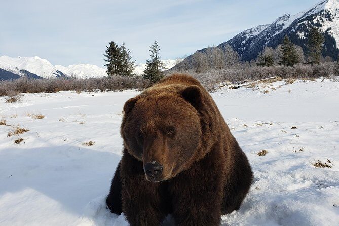Port Homer Day Tour Wilderness, Wildlife and Beach Experience - Final Thoughts