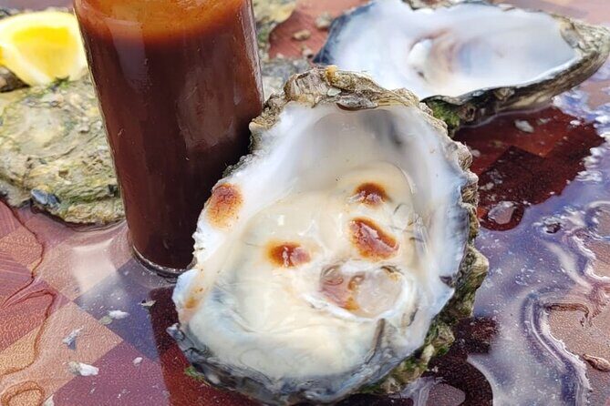 Port Lincoln and Coffin Bay Day Tour - Who Should Consider This Tour