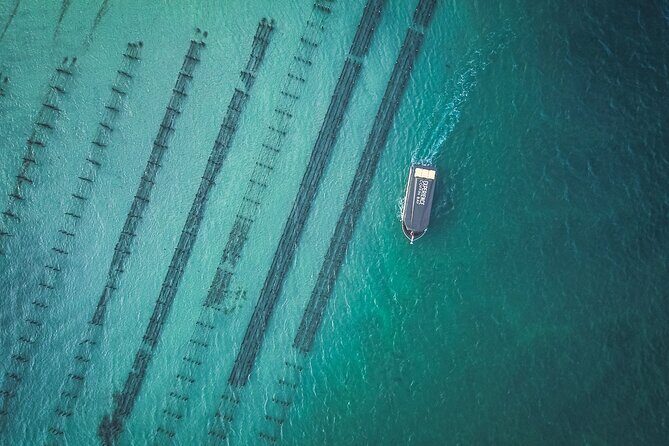 Port Lincoln and Coffin Bay Day Tour - Frequently Asked Questions