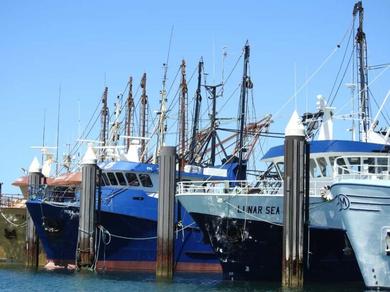 Port Lincoln Day Tour: Eyre Peninsula - Who Will Love This Tour?