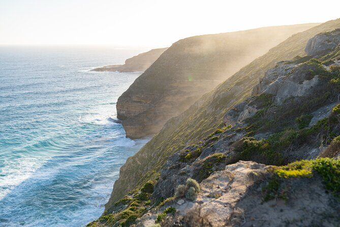 Port Lincoln Full-day Exploration Tour - An In-Depth Look at the Port Lincoln Full-day Tour