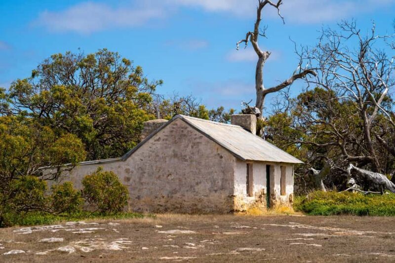 Port Lincoln Mikkira Station Wild Koala Safari Tour - Final Thoughts