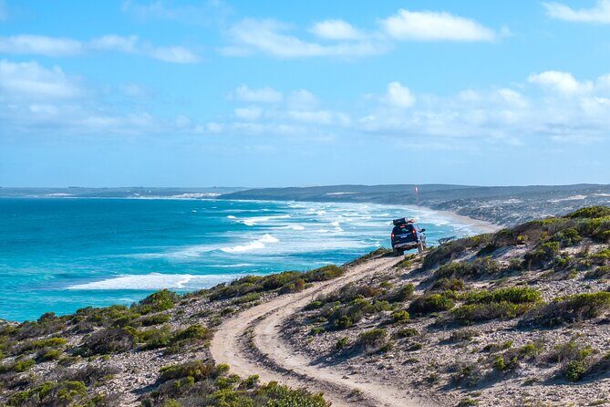 Port Lincoln National Park Half day Tour - Delving Into the Experience: What You Can Expect