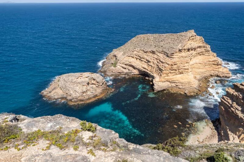 Port Lincoln: Wildlife and Sightseeing Full-Day 4WD Tour - What Makes This Tour Stand Out?
