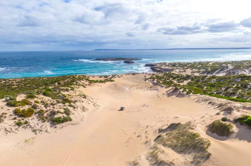 Port Lincoln: Wildlife and Sightseeing Full-Day 4WD Tour - Who Will Enjoy This Tour?