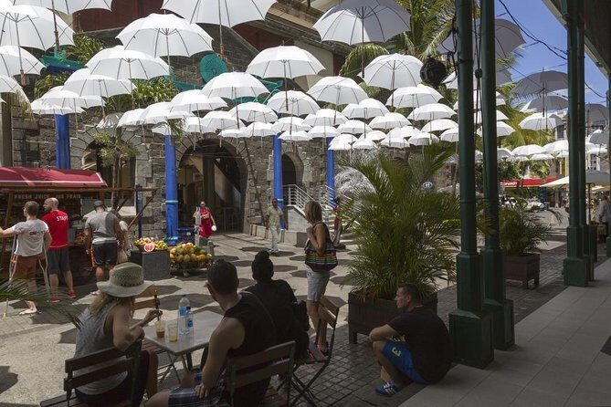 Port Louis and Pamplemousses Garden - A full day trip - The Sum Up