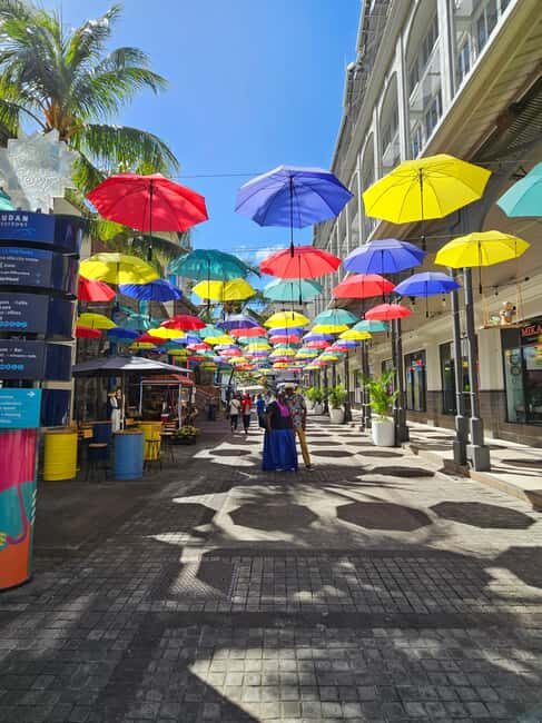 Port Louis: Mont Choisy, Botanical Garden, and Church Tour - Key Points