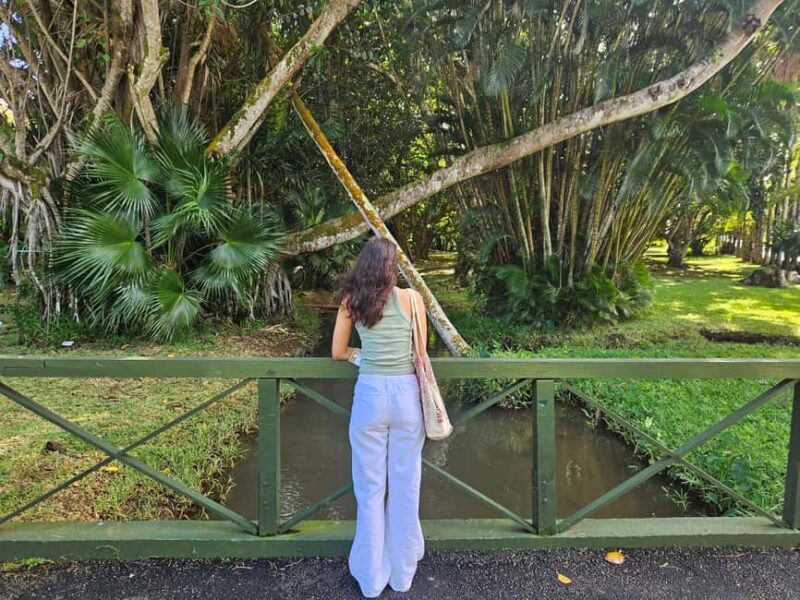 Port Louis: Mont Choisy, Botanical Garden, and Church Tour - FAQ