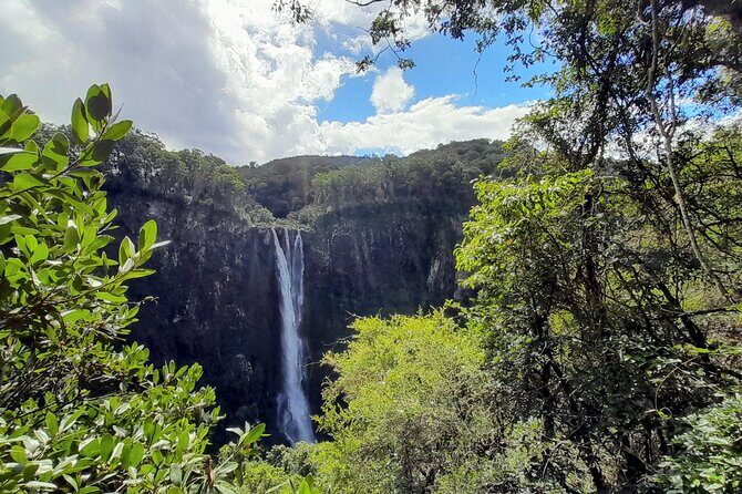 Port Macquarie day tour to Ellenborough Falls & Comboyne Rock - Introduction: An Authentic Day Out in Port Macquaries Hinterland