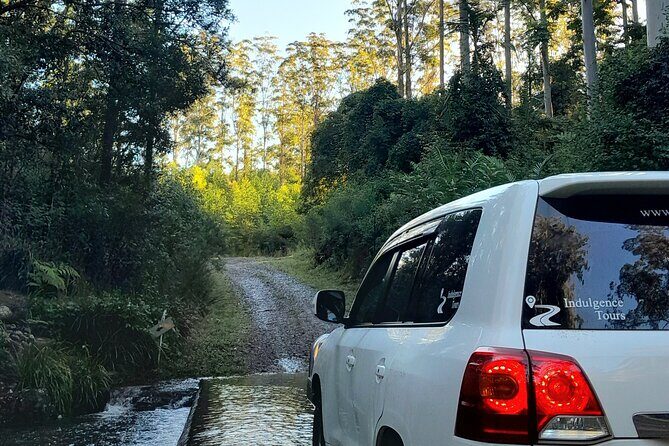 Port Macquarie day tour to Ellenborough Falls & Comboyne Rock - Price and Overall Value