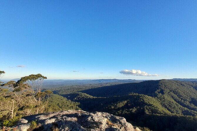 Port Macquarie day tour to Ellenborough Falls & Comboyne Rock - Who Would Love This Tour?