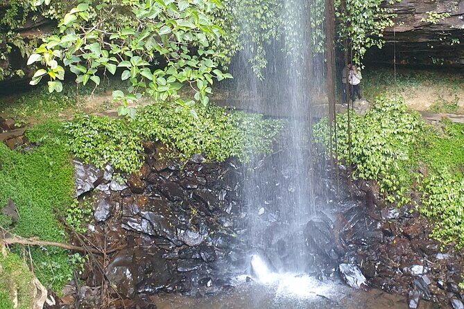 Port Macquarie Day Tour to Water Falls and Lookouts - FAQs