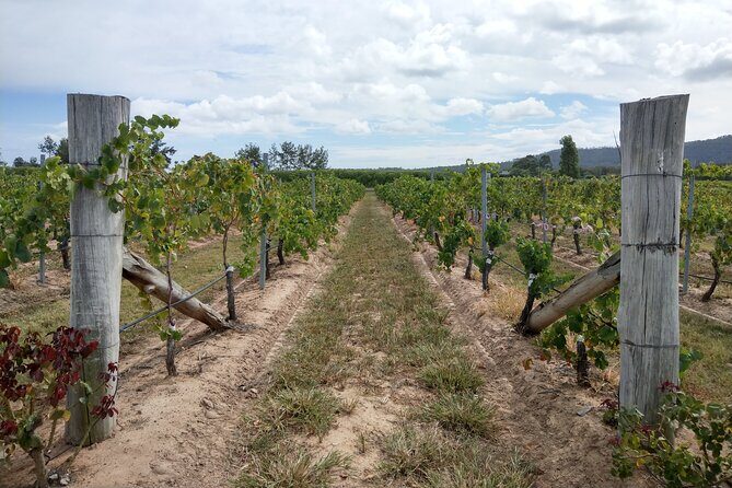 Port Macquarie Wine and Beer, Hastings Tasting Trail Tour - Final Thoughts