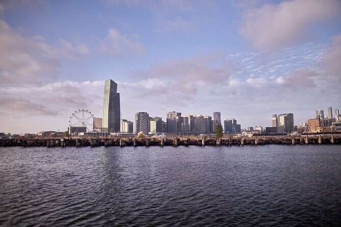 Port of Melbourne and Docklands Sightseeing Cruise - The Experience: Pros and Cons