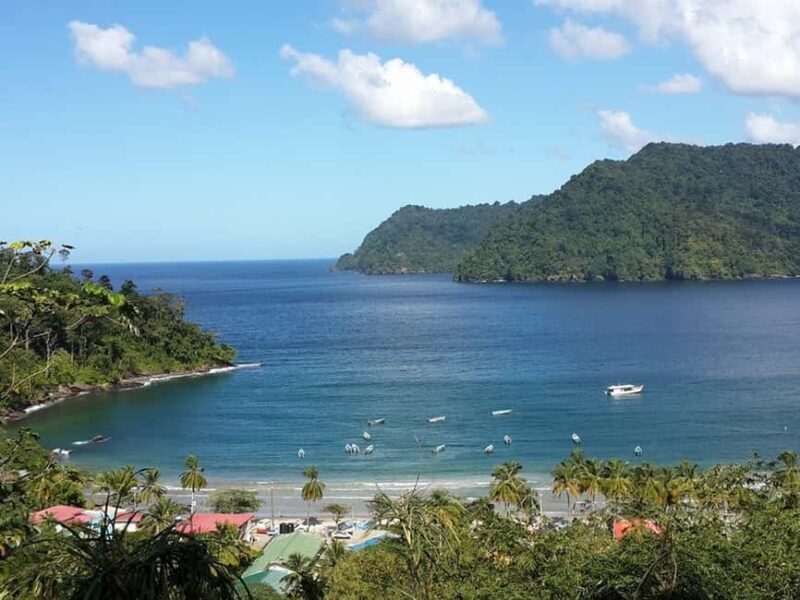 Port of Spain: Coastal Tour of Trinidad - Port of Spain: Coastal Tour of Trinidad — A Scenic Day Along the North Coast