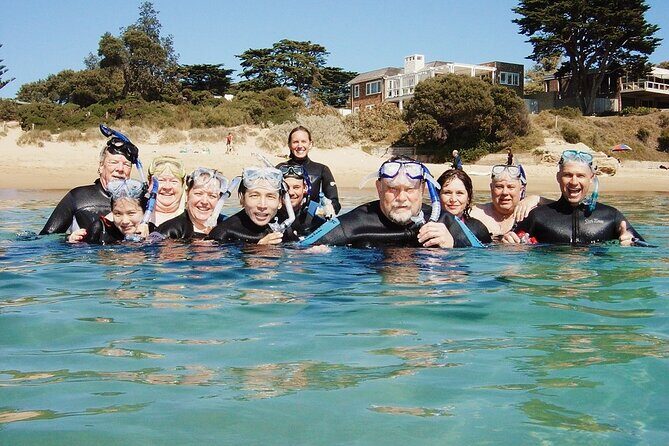 Port Phillip Bay Snorkeling with Sea Dragons - Practical Tips for Your Snorkeling Adventure