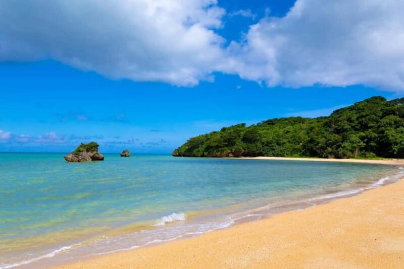Port Pick-Up: Naha Private Tour Licensed Guide Vehicle - The Practicalities: What’s Included and What’s Not