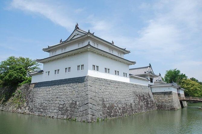Port Pick-Up: Shizuoka Tour with Licensed Guide and Vehicle - What Our Reviewers Say