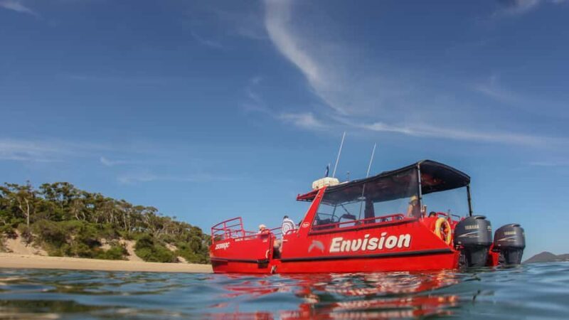 Port Stephens: 1hr Dolphin Watch Express - Introduction: Why This Tour Might Be Perfect for Your Trip