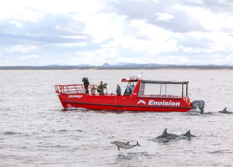 Port Stephens: 1hr Dolphin Watch Express - The Itinerary: What to Expect on the Water