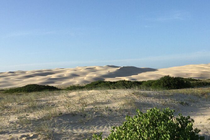 Port Stephens, Beach and Sand Dune 4WD Tag-Along Tour - Final Thoughts