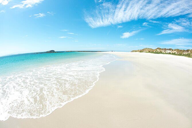 Port Stephens: Broughton Island Cruise - Final Thoughts: Who Is This Tour Best For?