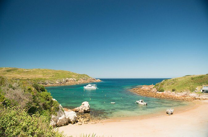 Port Stephens: Broughton Island Cruise - Frequently Asked Questions