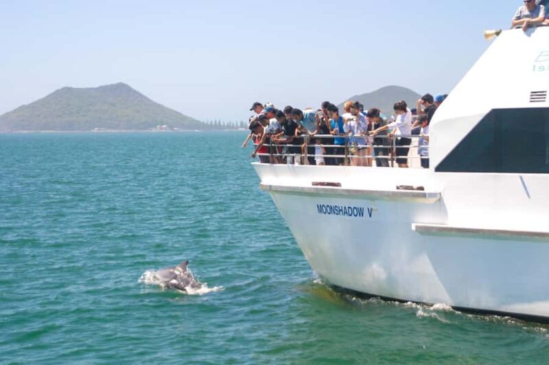 Port Stephens: Dolphin Cruise, Lunch, Koalas & Sandboarding - An Honest Look at the Itinerary