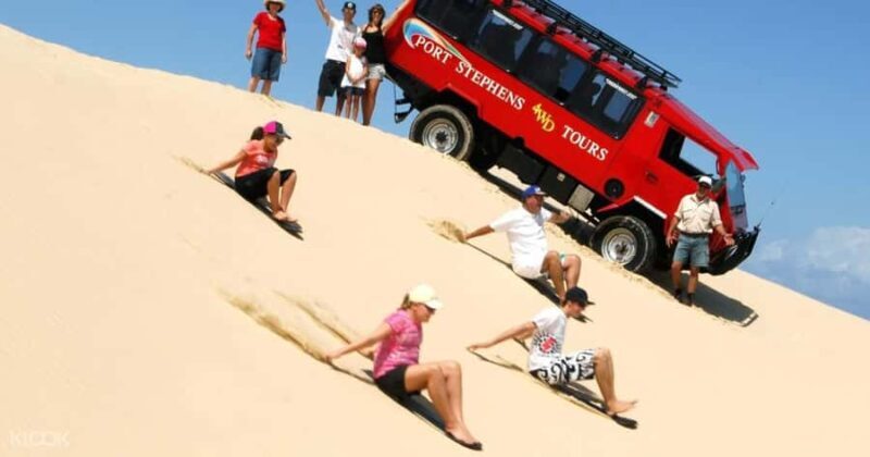 Port Stephens: Dolphin Cruise, Lunch, Koalas & Sandboarding - Who Will Love This Tour?