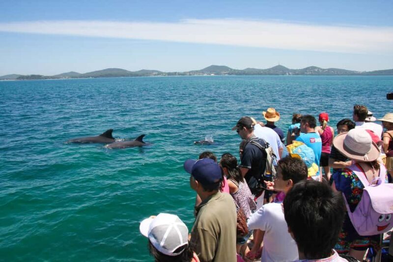 Port Stephens: Dolphin Discovery Cruise - Practical Tips for Your Trip