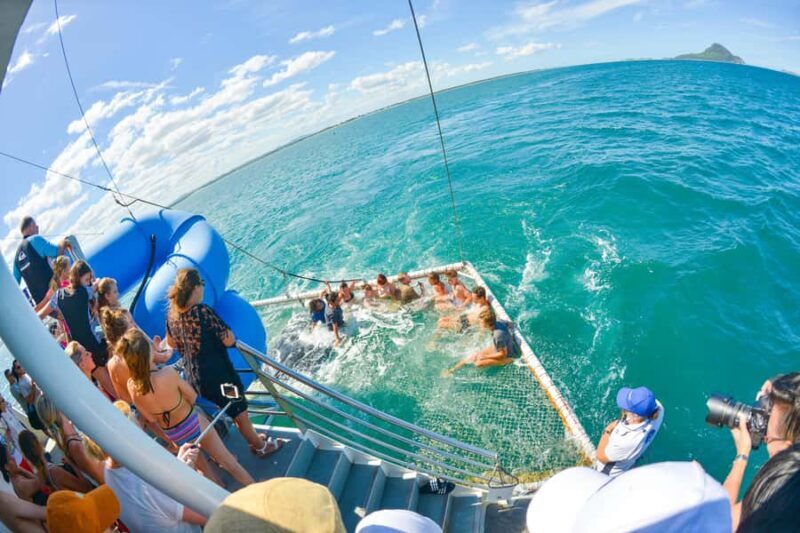 Port Stephens: Dolphin Discovery Cruise - Who Would Love This Tour?