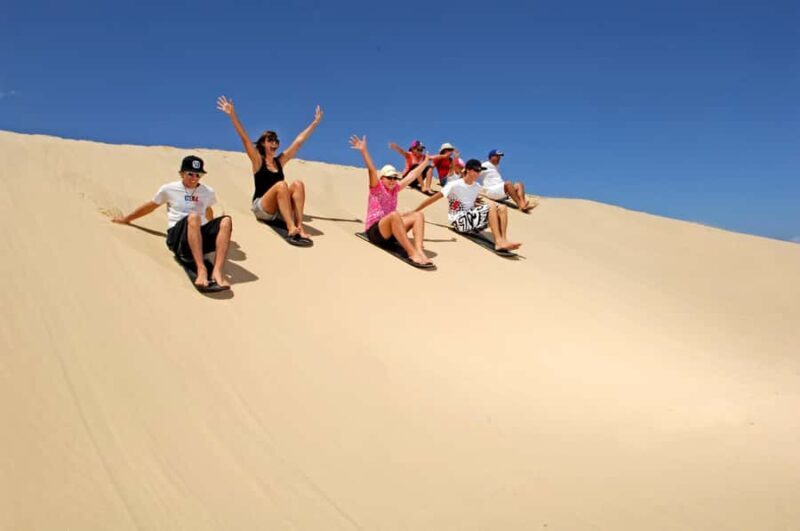 Port Stephens: Dolphin, Lunch, Koalas&Sandboarding(Japanese) - Who Will Love This Tour?