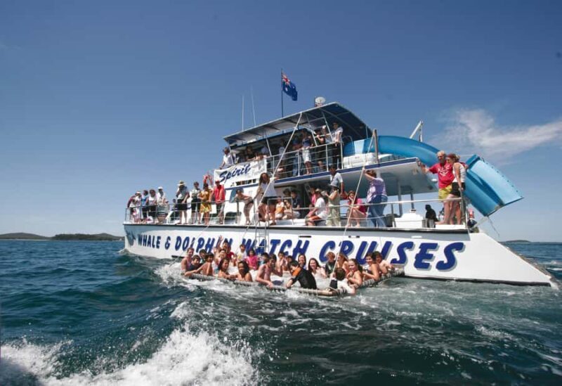 Port Stephens: Dolphin Watch Cruise with Swimming and Slides - Key Points
