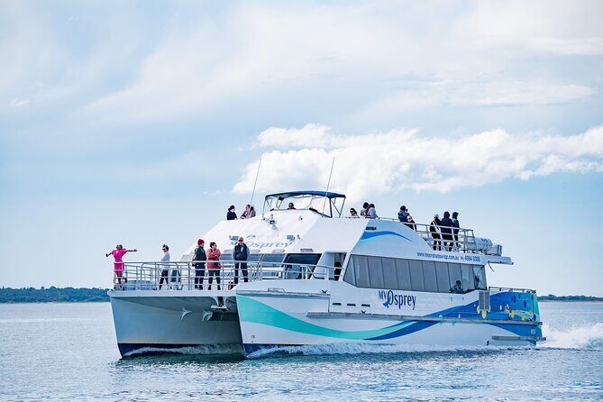 Port Stephens: Dolphin Watch Eco Adventure - Discover the Port Stephens: Dolphin Watch Eco Adventure