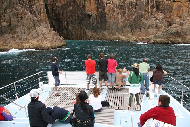 Port Stephens: Dolphin Watch Eco Adventure - Key Points