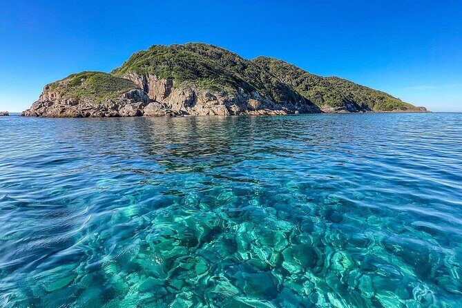 Port Stephens: Dolphin Watch Eco Adventure - Final Thoughts: Is It Worth It?