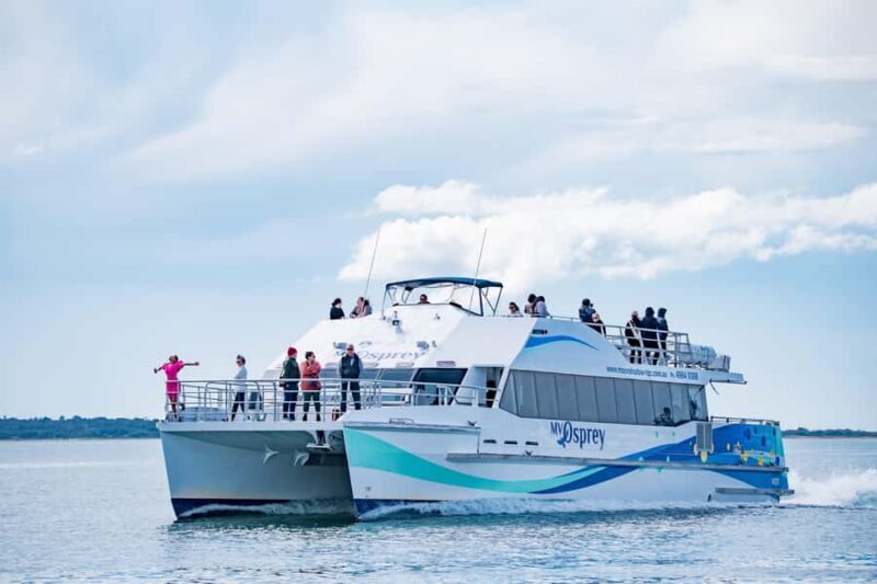 Port Stephens: Dolphin Watch & Eco Adventure - An In-Depth Look at the Experience