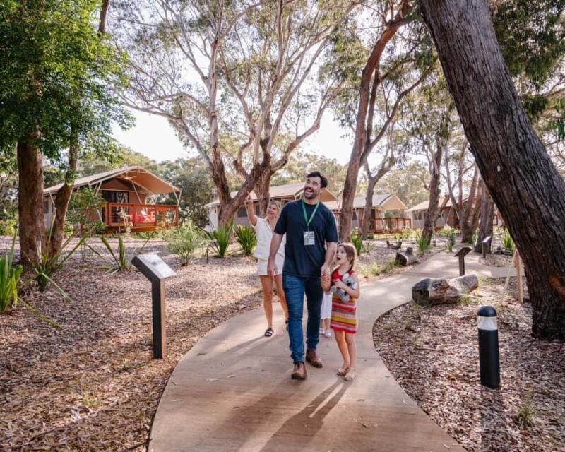 Port Stephens: Koala Sanctuary General Admission Ticket - What to Expect When Visiting
