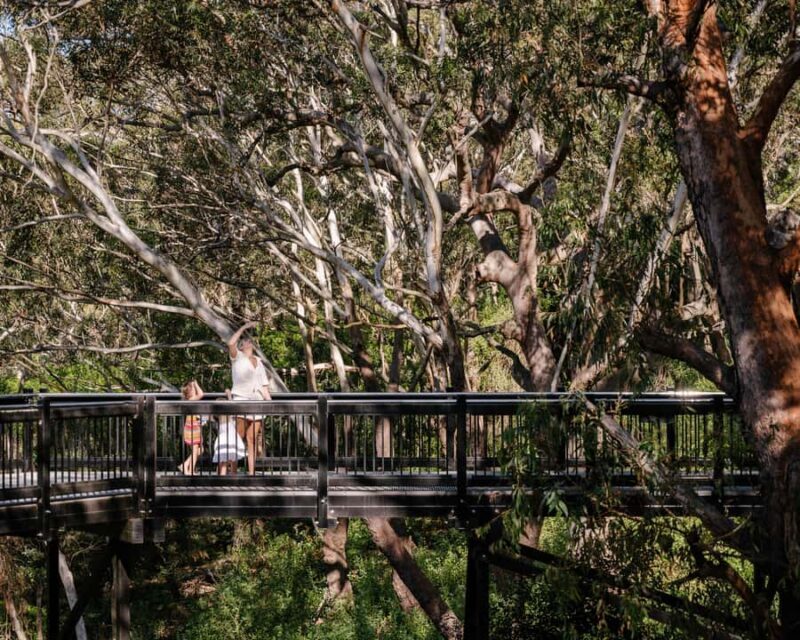 Port Stephens: Koala Sanctuary General Admission Ticket - Supporting Conservation and Learning Opportunities