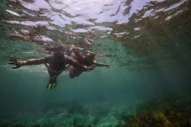 Port Stephens: Port Stephens Island Snorkel Adventure Cruise - Introduction