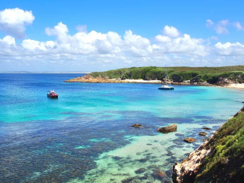 Port Stephens: Port Stephens Island Snorkel Adventure Cruise - What Makes This Tour Stand Out