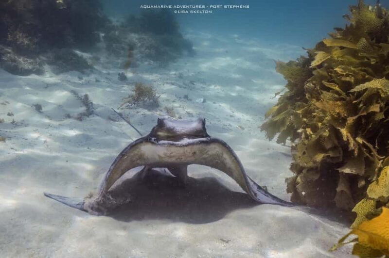 Port Stephens: Port Stephens Island Snorkel Adventure Cruise - Final Thoughts