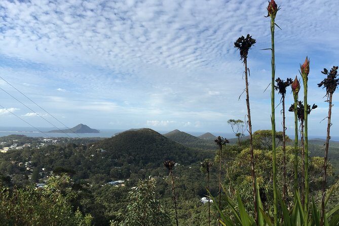 Port Stephens Private Tour From Sydney, with Dolphin/ Whale Cruise Options - Lunch at Nelson Bay Bowling and Recreation Club