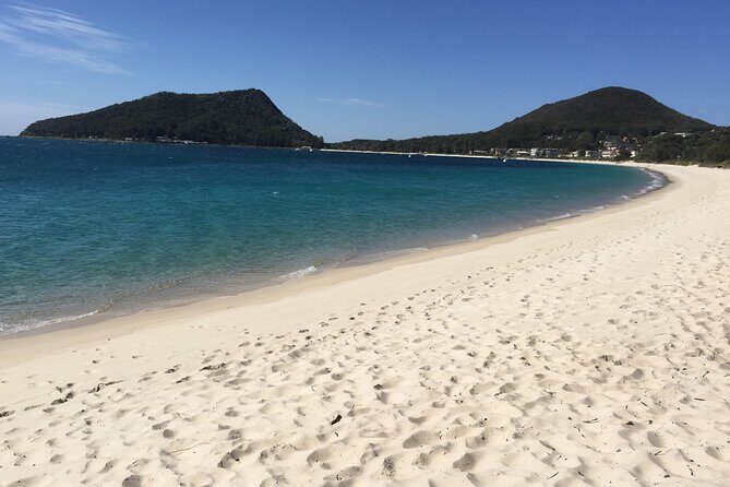 Port Stephens Private Tour From Sydney, with Dolphin/ Whale Cruise Options - Little Beach: Photo Opportunities and a Quick Dip