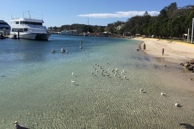Port Stephens Private Tour From Sydney, with Dolphin/ Whale Cruise Options - Stockton Sand Dunes: Sandboarding and Adventure