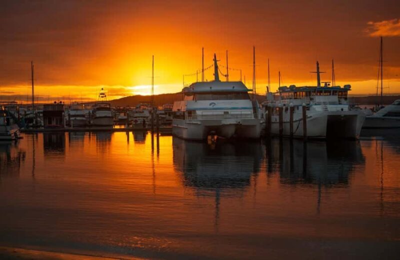 Port Stephens: Sunset on the Bay Cruise - Key Points
