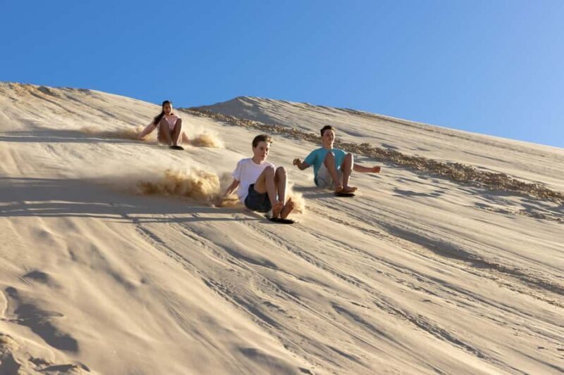 Port Stephens: Unlimited Sandboarding & 4WD Sand Dune Tour - Who Should Consider This Tour?