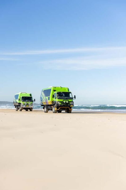 Port Stephens: Unlimited Sandboarding & 4WD Sand Dune Tour - Practical Tips for Your Visit